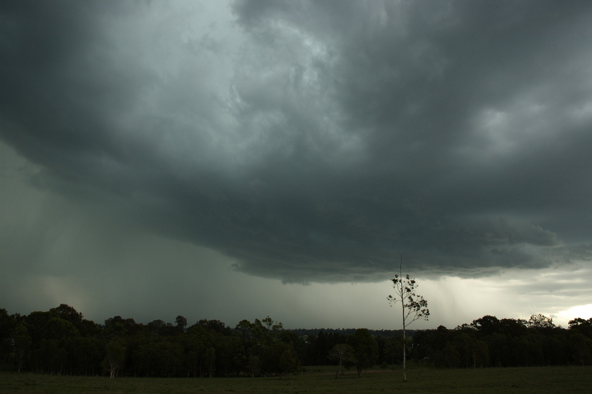 cumulonimbus thunderstorm_base : Koolkhan, NSW   4 December 2007