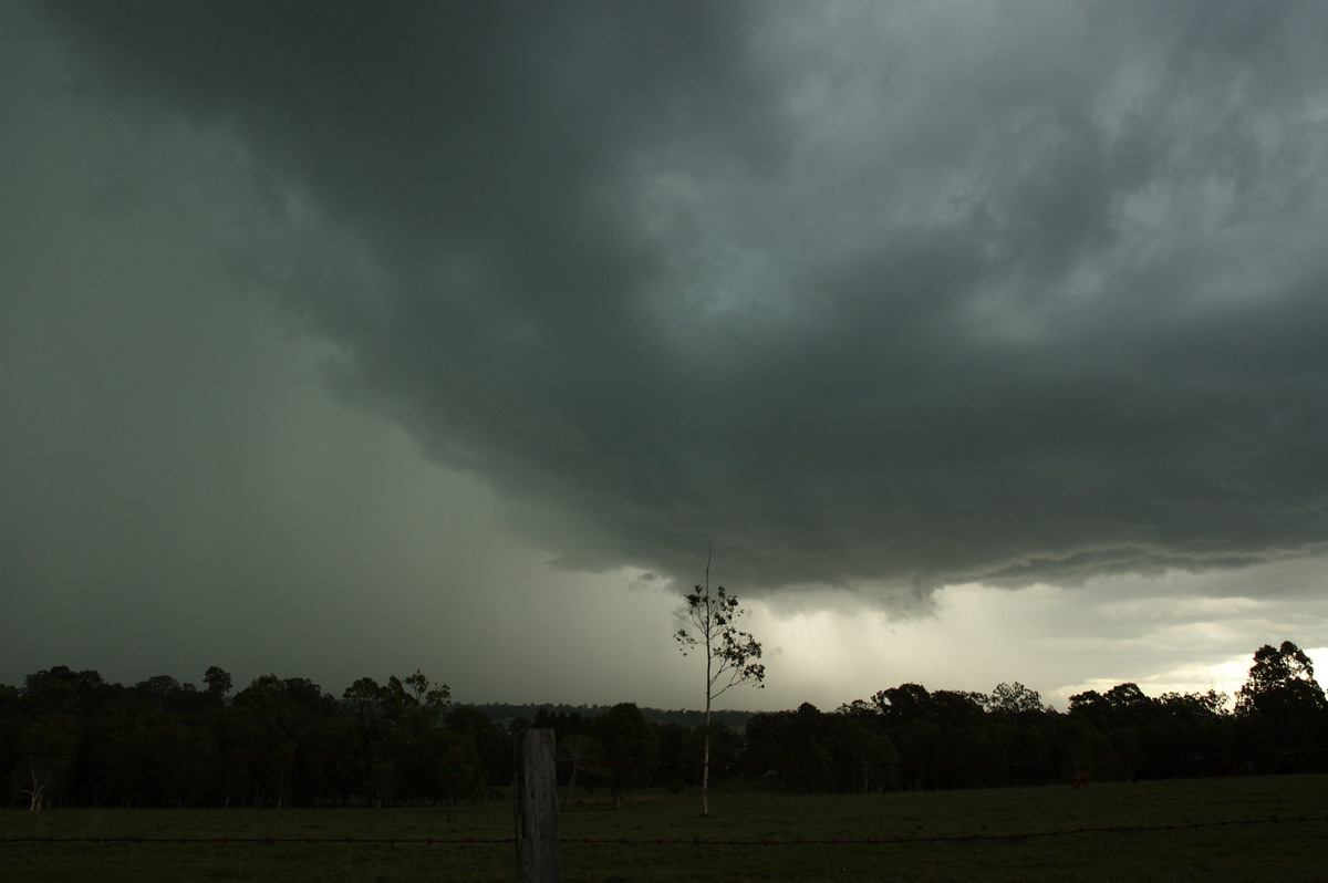 cumulonimbus thunderstorm_base : Koolkhan, NSW   4 December 2007