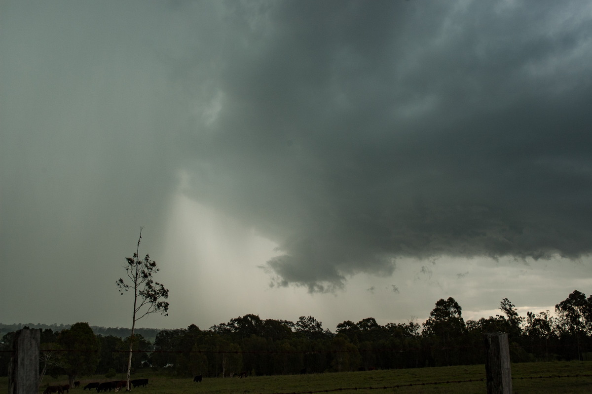 cumulonimbus thunderstorm_base : Koolkhan, NSW   4 December 2007