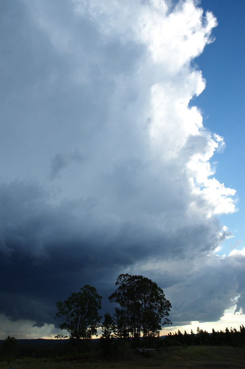 updraft thunderstorm_updrafts : Whiporie, NSW   4 December 2007