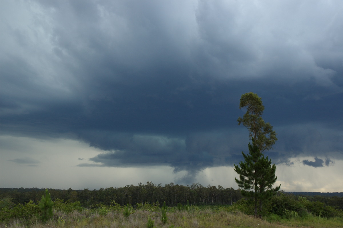 shelfcloud shelf_cloud : Whiporie, NSW   4 December 2007