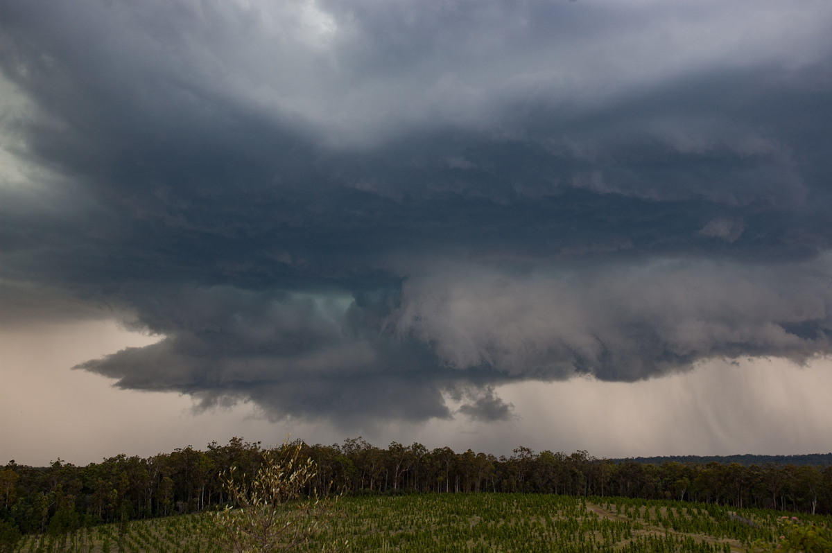 wallcloud thunderstorm_wall_cloud : Whiporie, NSW   4 December 2007