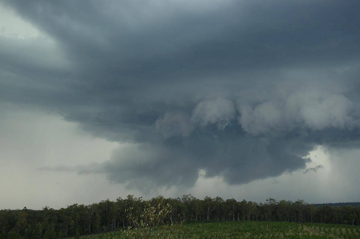 cumulonimbus thunderstorm_base : Whiporie, NSW   4 December 2007