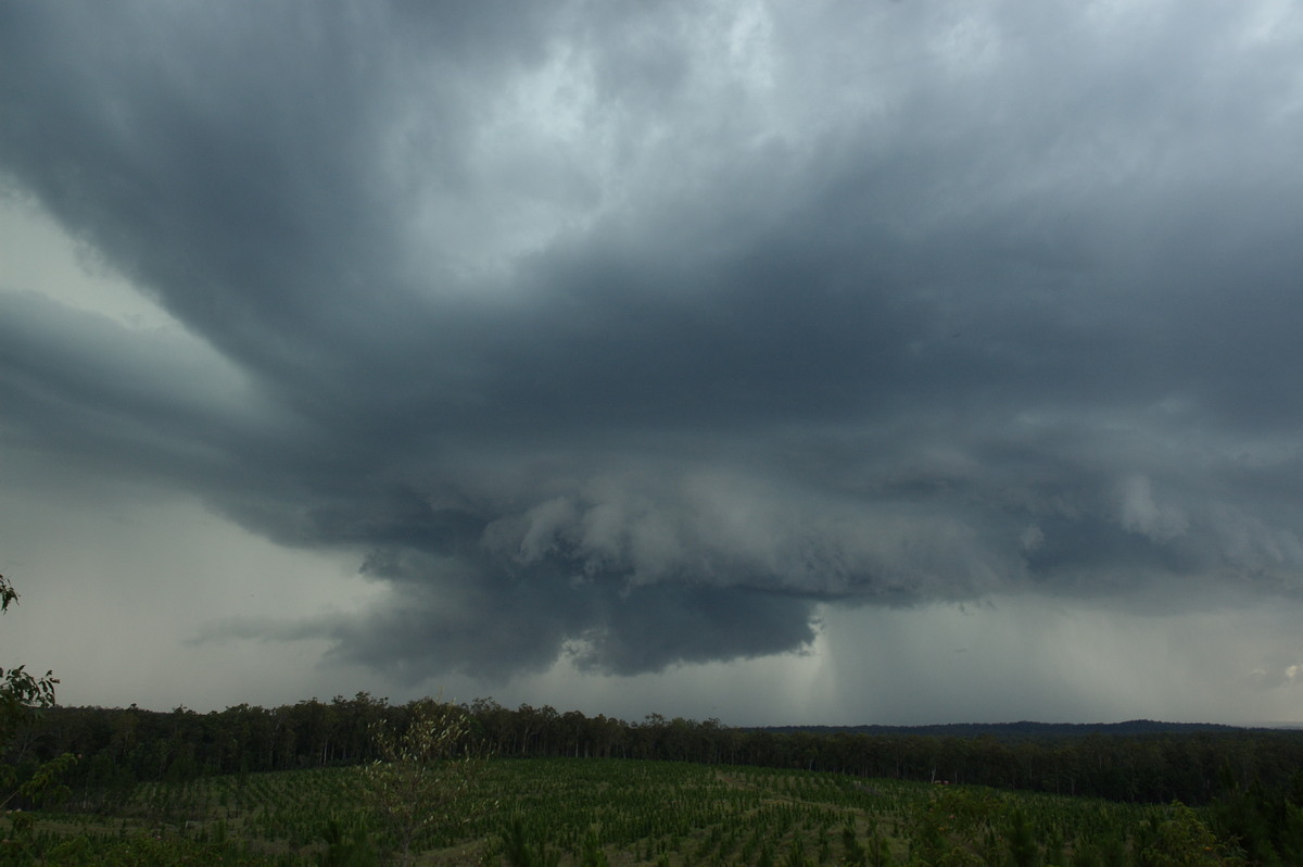 cumulonimbus thunderstorm_base : Whiporie, NSW   4 December 2007