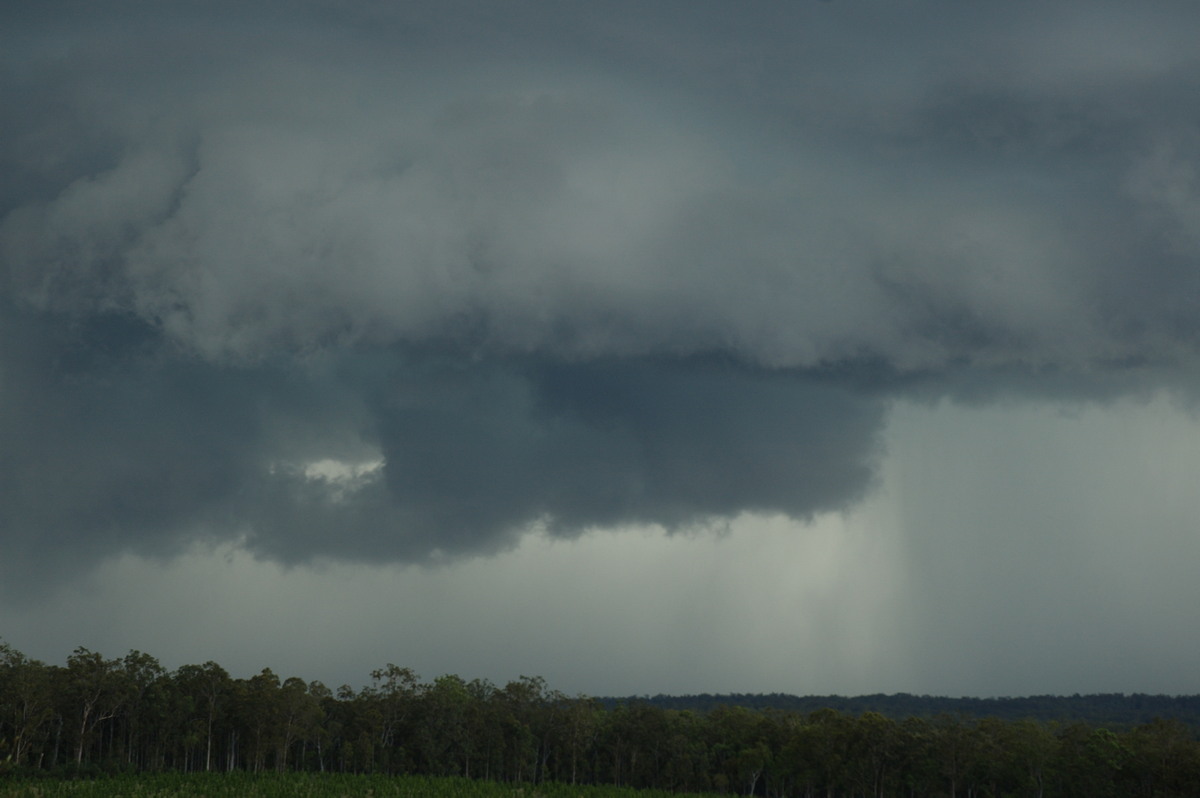 raincascade precipitation_cascade : Whiporie, NSW   4 December 2007