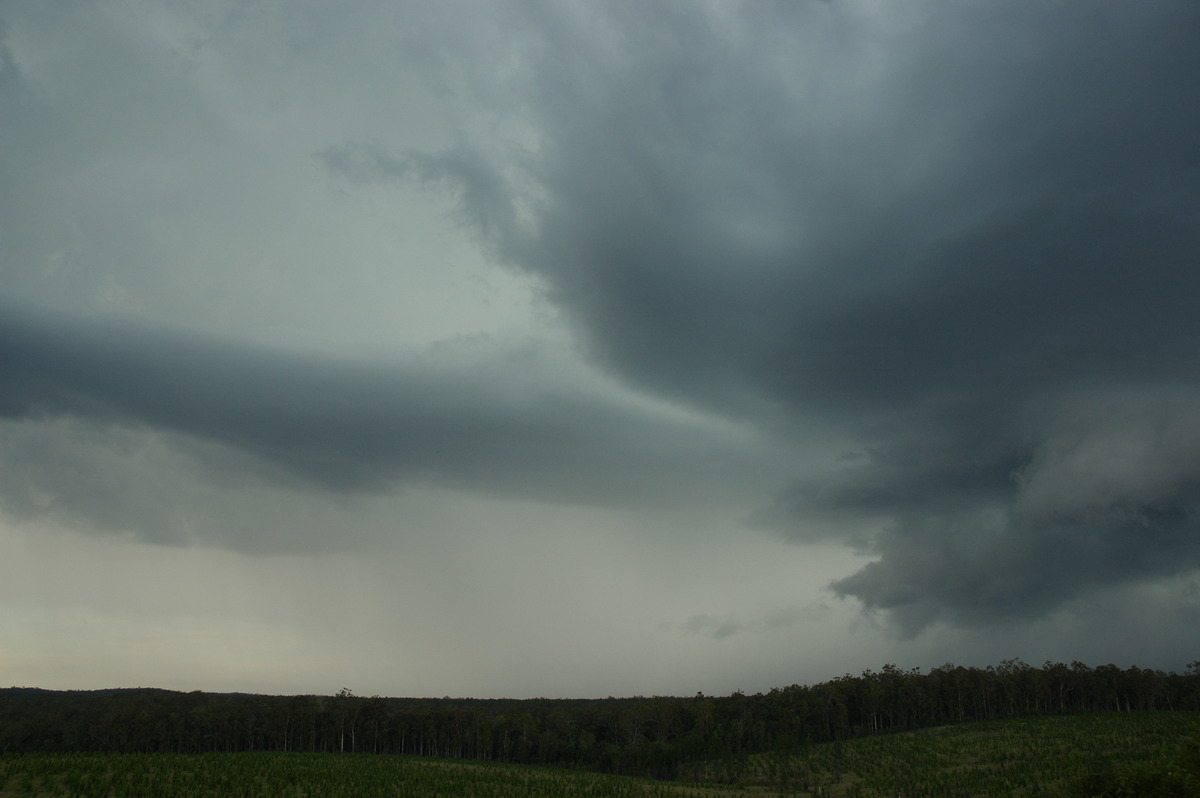 wallcloud thunderstorm_wall_cloud : Whiporie, NSW   4 December 2007