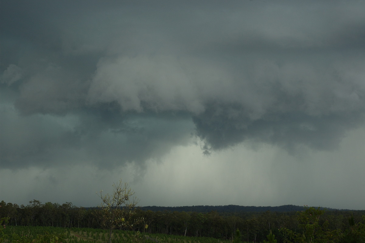 wallcloud thunderstorm_wall_cloud : Whiporie, NSW   4 December 2007