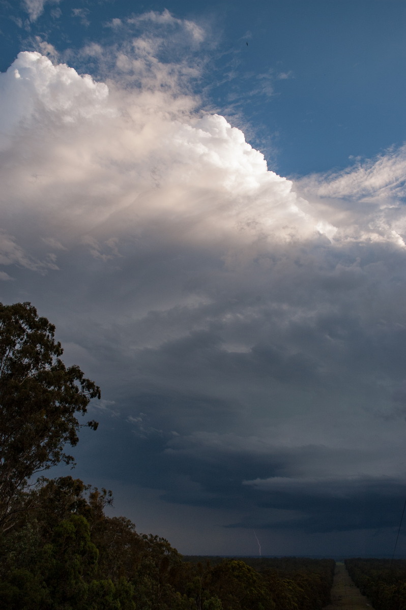 thunderstorm cumulonimbus_calvus : Rappville, NSW   4 December 2007