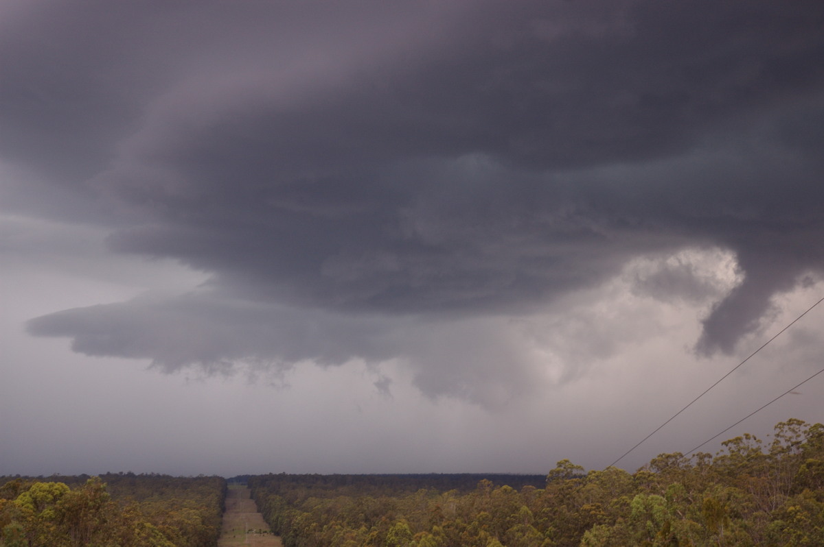 wallcloud thunderstorm_wall_cloud : Rappville, NSW   4 December 2007