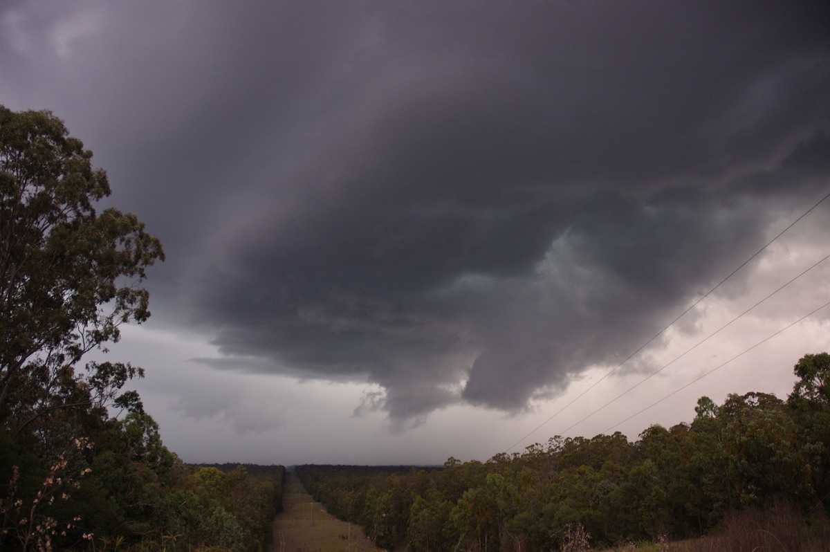 wallcloud thunderstorm_wall_cloud : Rappville, NSW   4 December 2007