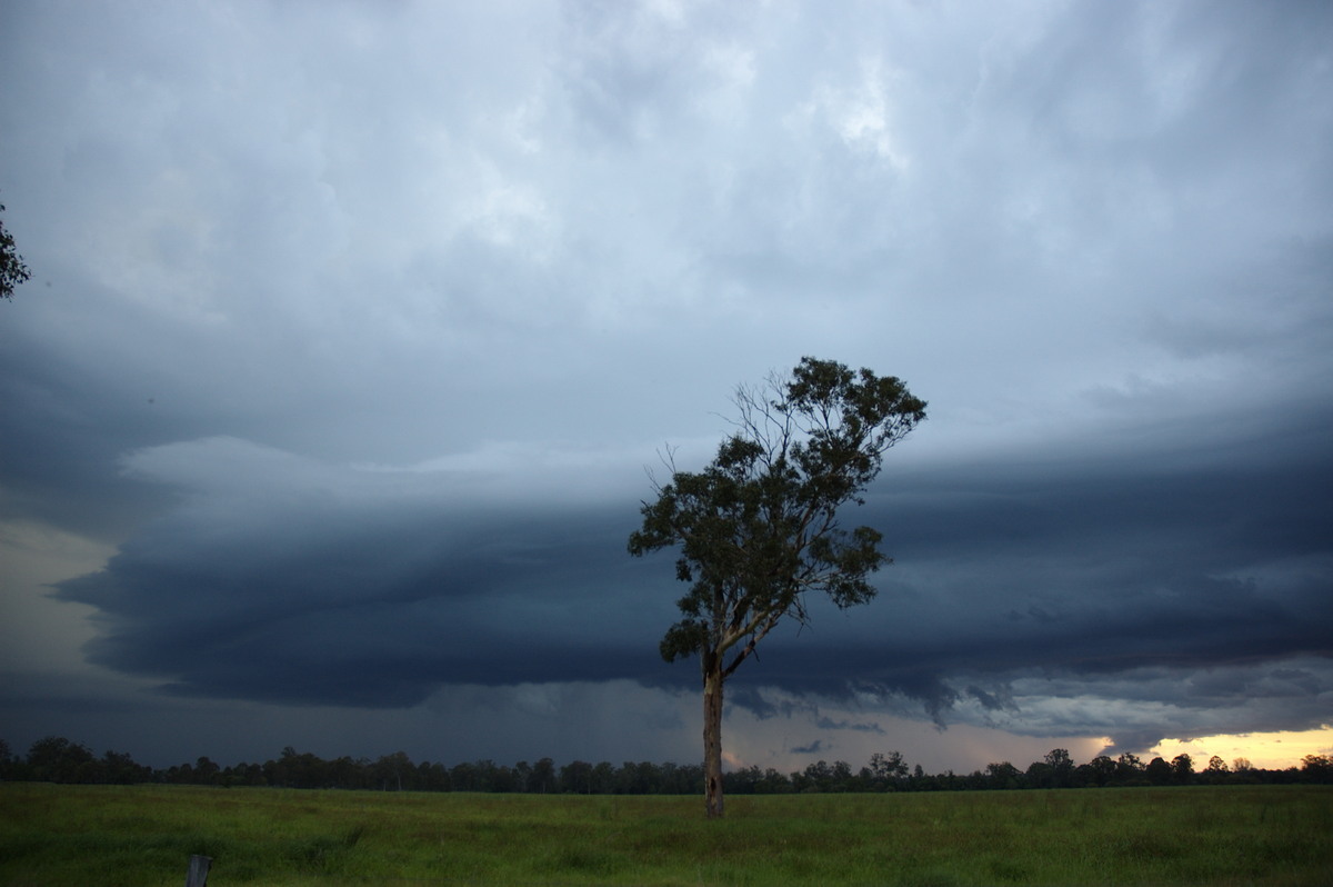 shelfcloud shelf_cloud : Shannon Brook, NSW   4 December 2007