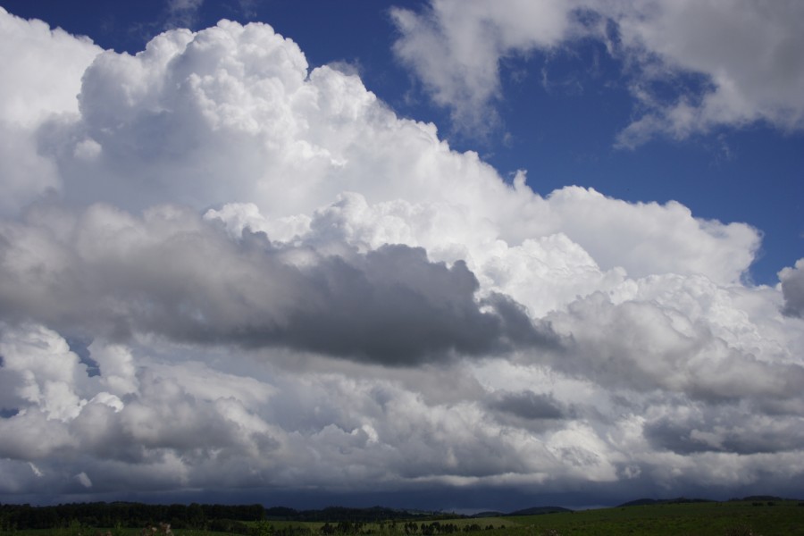 thunderstorm cumulonimbus_incus : Dorrigo, NSW   5 December 2007