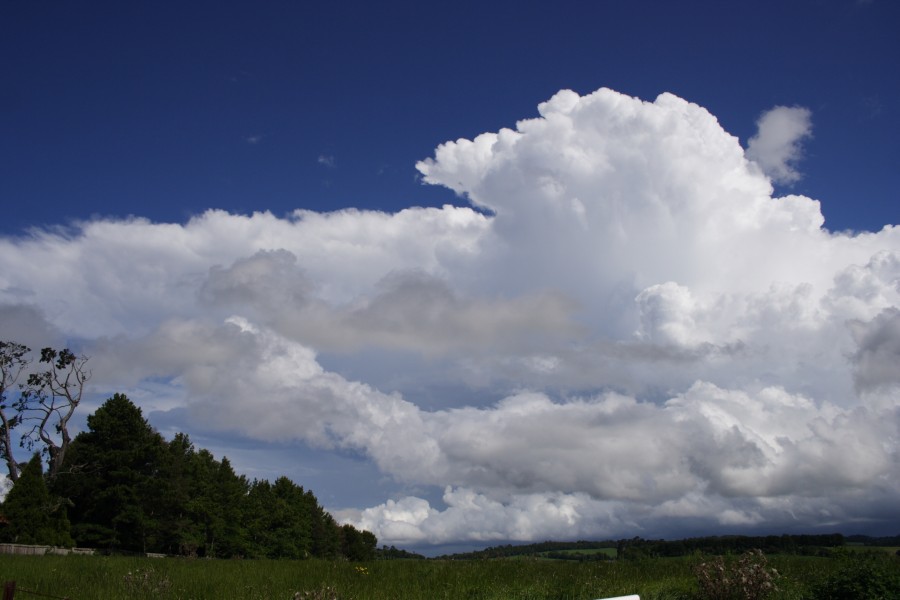 thunderstorm cumulonimbus_incus : Dorrigo, NSW   5 December 2007