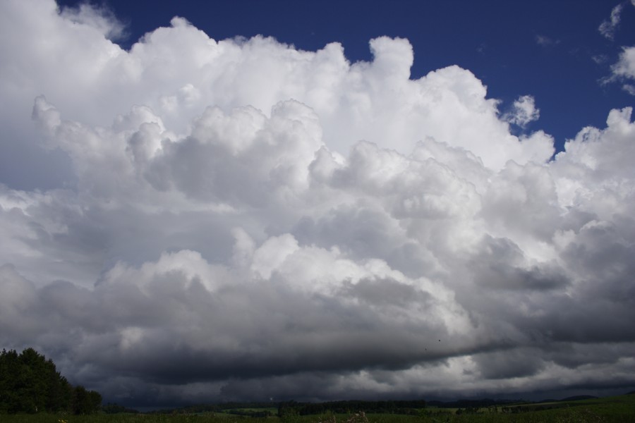 thunderstorm cumulonimbus_incus : Dorrigo, NSW   5 December 2007