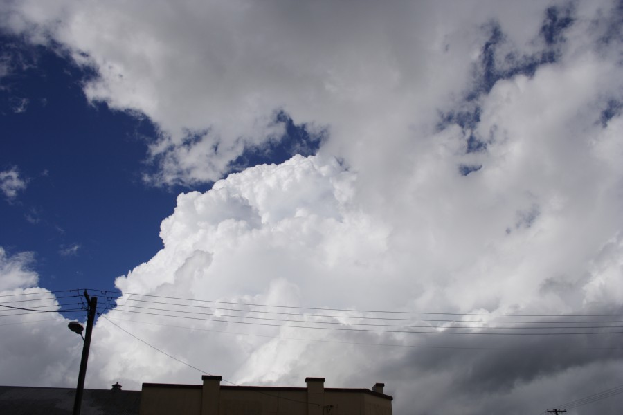 thunderstorm cumulonimbus_incus : Dorrigo, NSW   5 December 2007