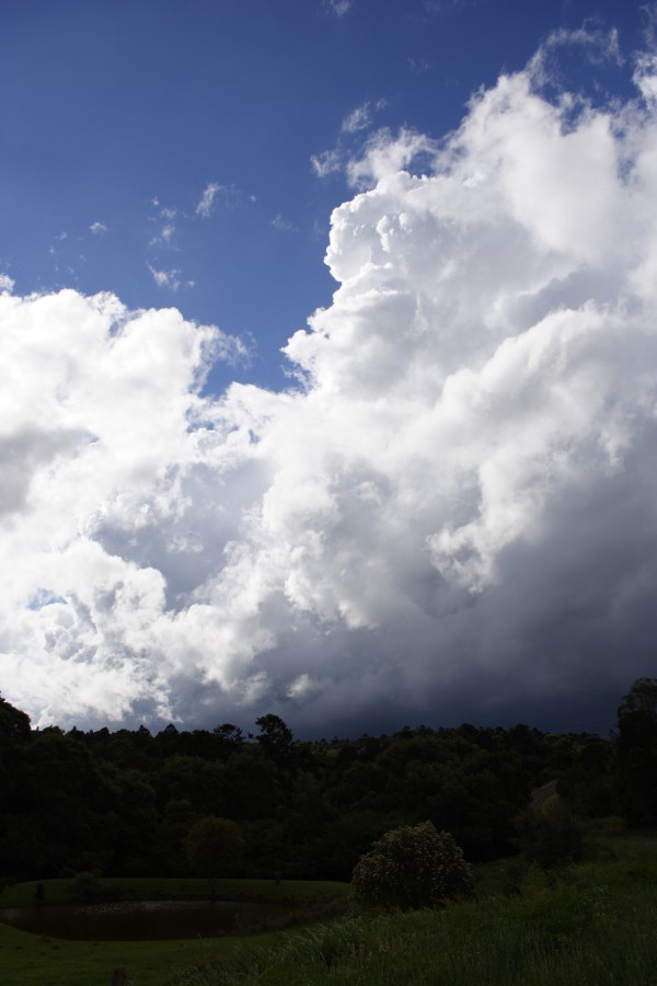 updraft thunderstorm_updrafts : N of Dorrigo, NSW   5 December 2007