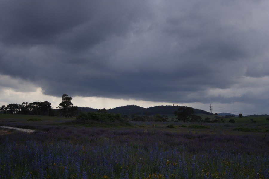 cumulonimbus thunderstorm_base : Portland, NSW   8 December 2007