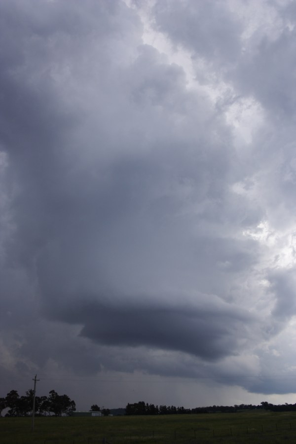 cumulonimbus thunderstorm_base : E of Portland, NSW   8 December 2007