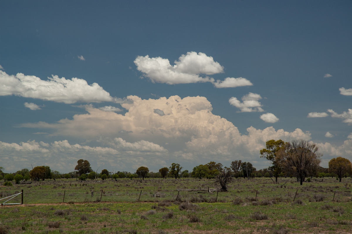 cumulus humilis : near Coonamble, NSW   8 December 2007