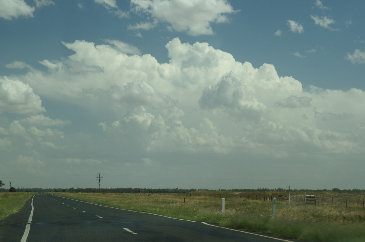 thunderstorm cumulonimbus_calvus : near Gulargambone, NSW   8 December 2007