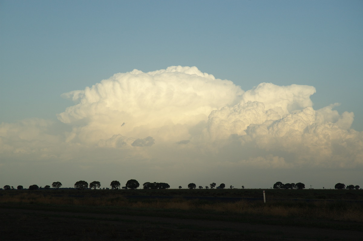 thunderstorm cumulonimbus_incus : Coonamble, NSW   8 December 2007