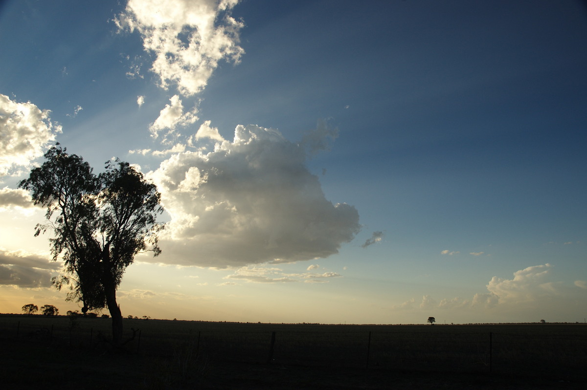 halosundog halo_sundog_crepuscular_rays : Coonamble, NSW   8 December 2007