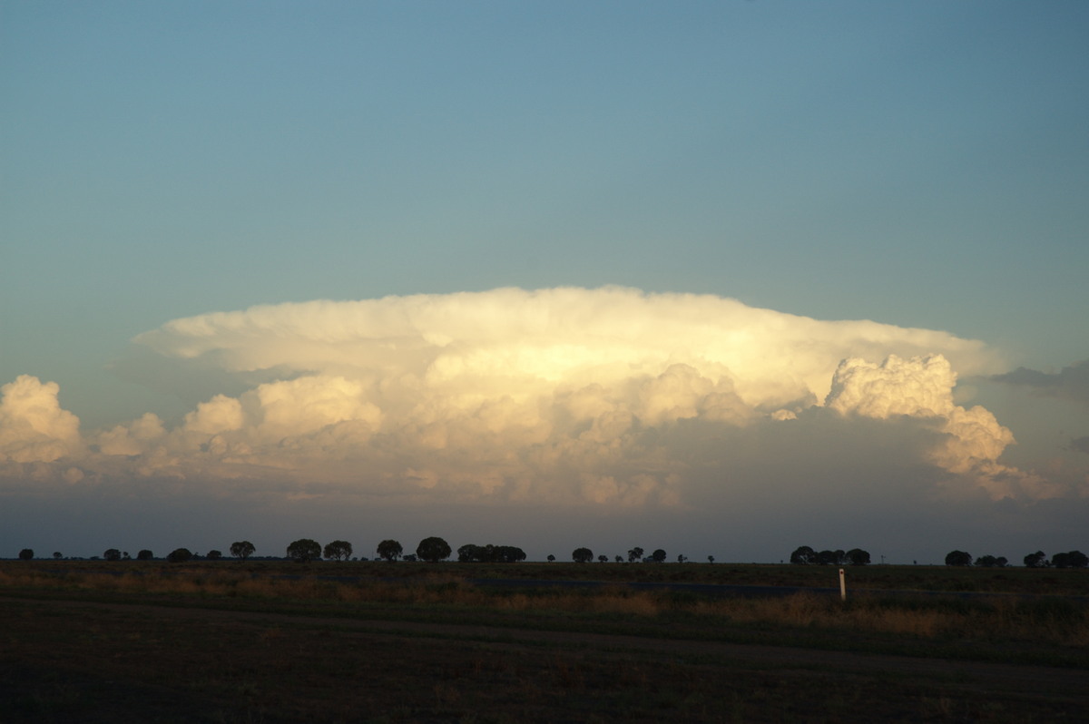 thunderstorm cumulonimbus_incus : Coonamble, NSW   8 December 2007