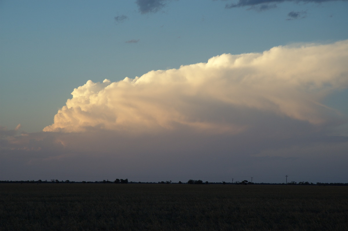 thunderstorm cumulonimbus_incus : Coonamble, NSW   8 December 2007