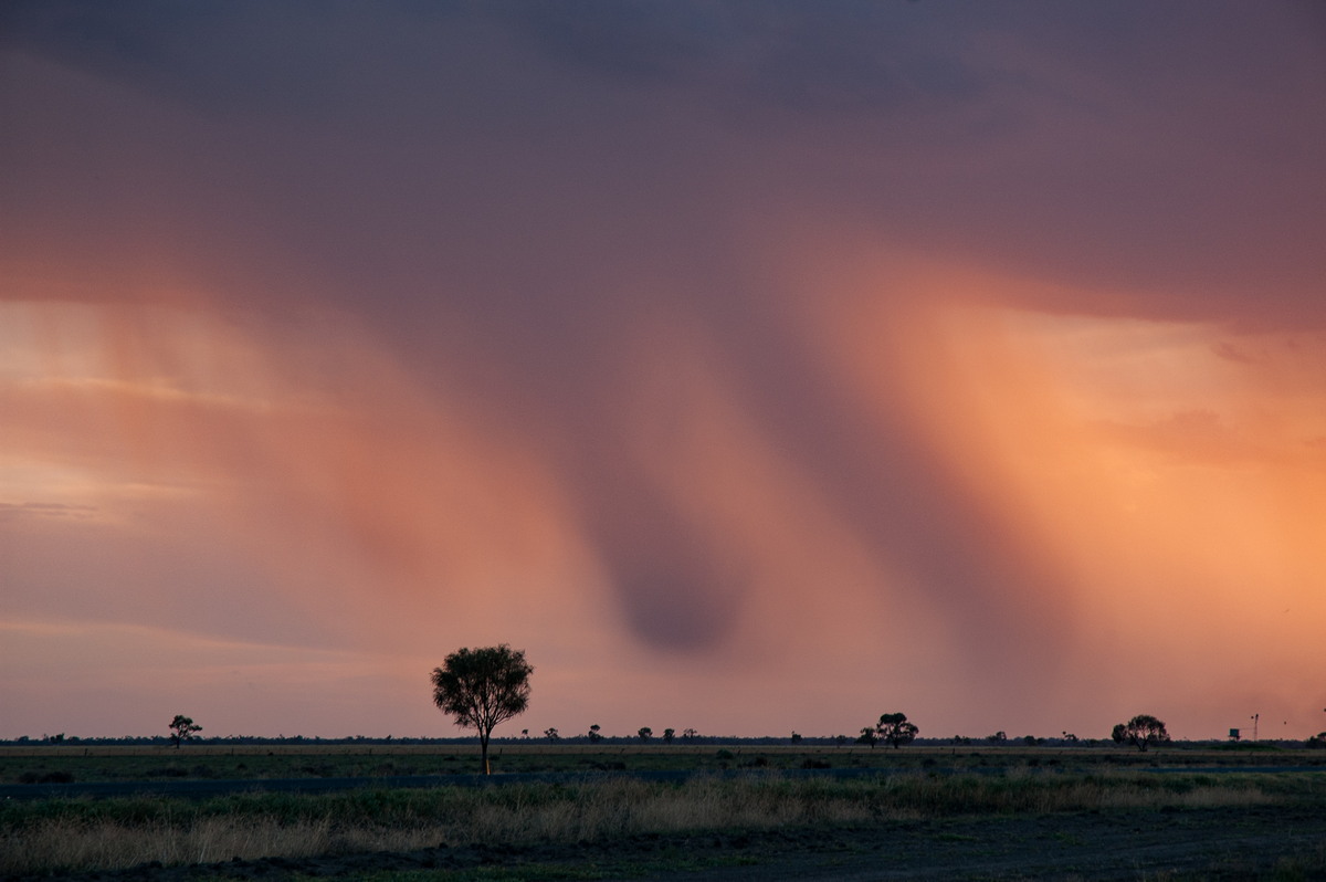 raincascade precipitation_cascade : Coonamble, NSW   8 December 2007