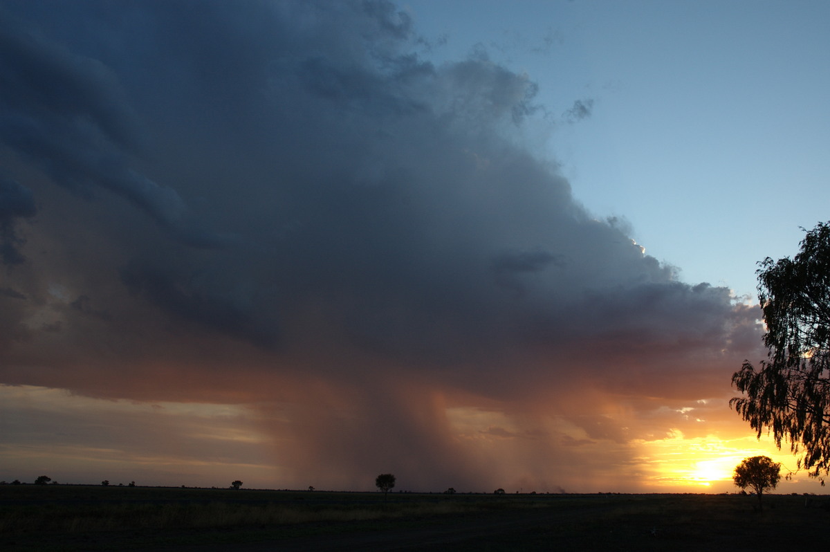 sunset sunset_pictures : Coonamble, NSW   8 December 2007