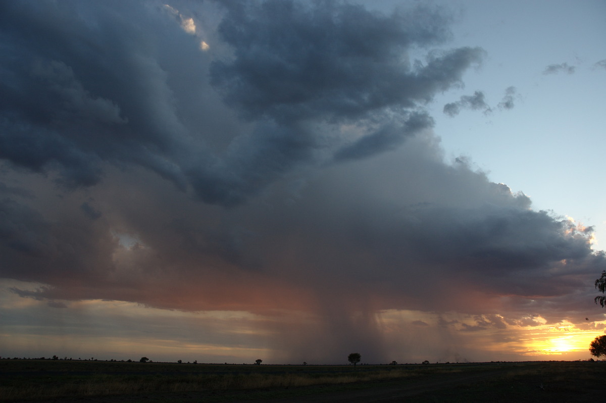 thunderstorm cumulonimbus_calvus : Coonamble, NSW   8 December 2007