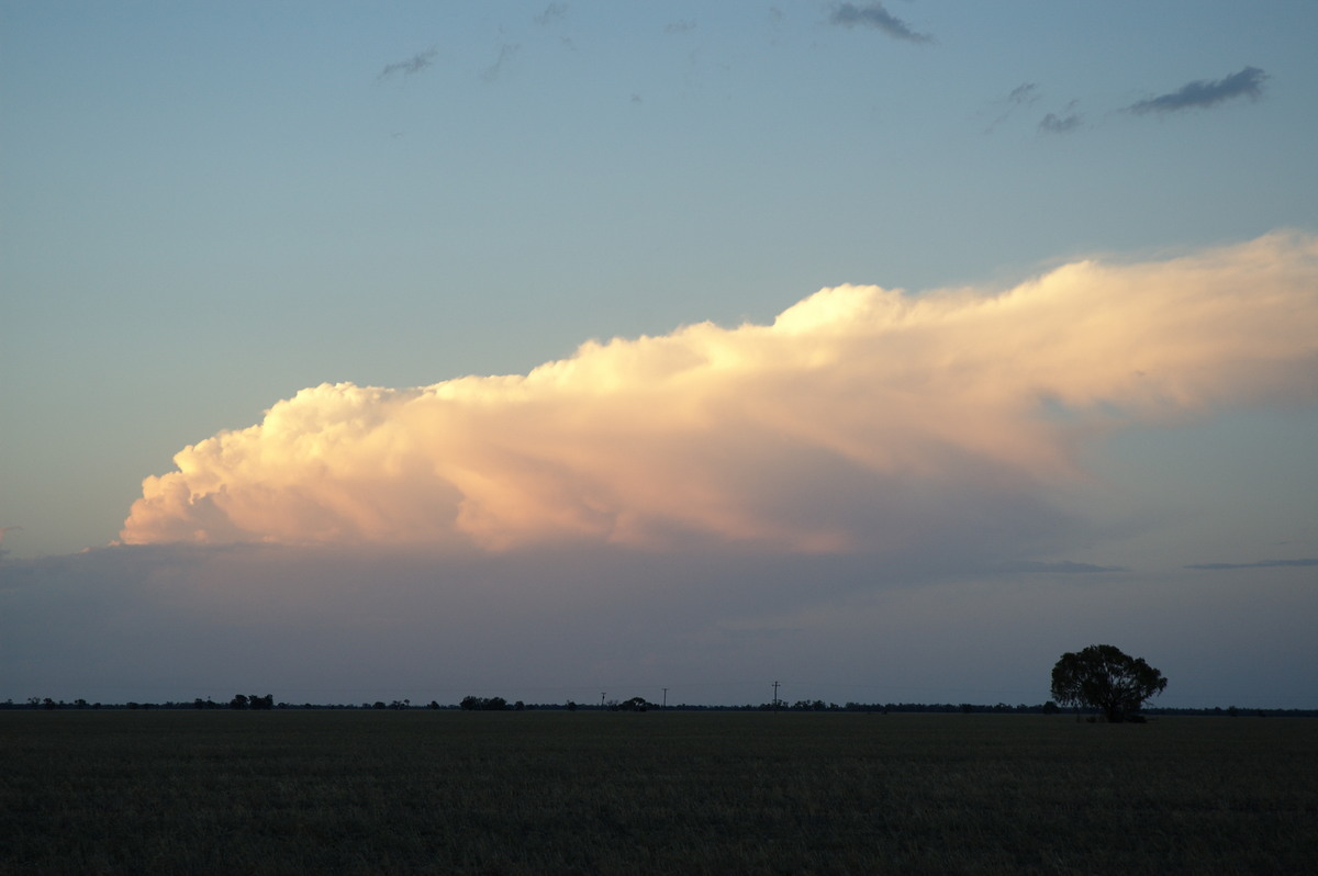 sunset sunset_pictures : Coonamble, NSW   8 December 2007