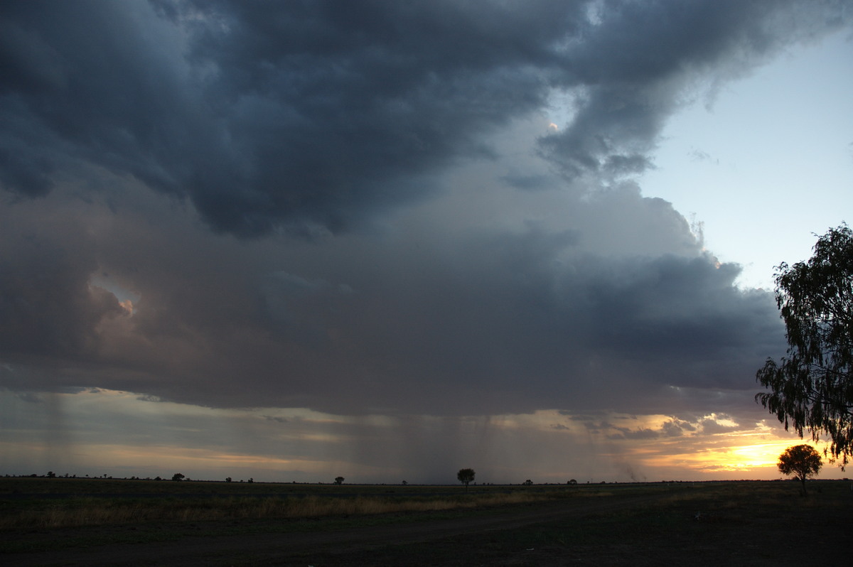 thunderstorm cumulonimbus_calvus : Coonamble, NSW   8 December 2007