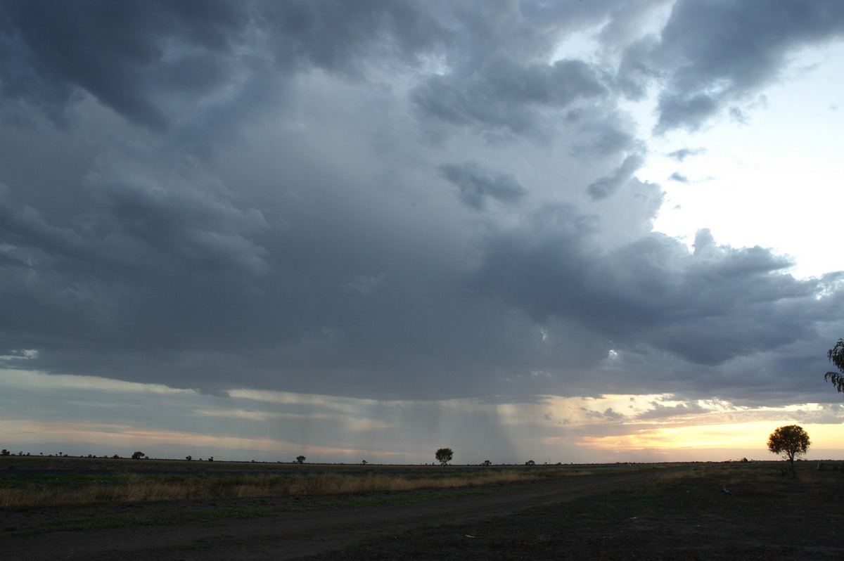 thunderstorm cumulonimbus_calvus : Coonamble, NSW   8 December 2007