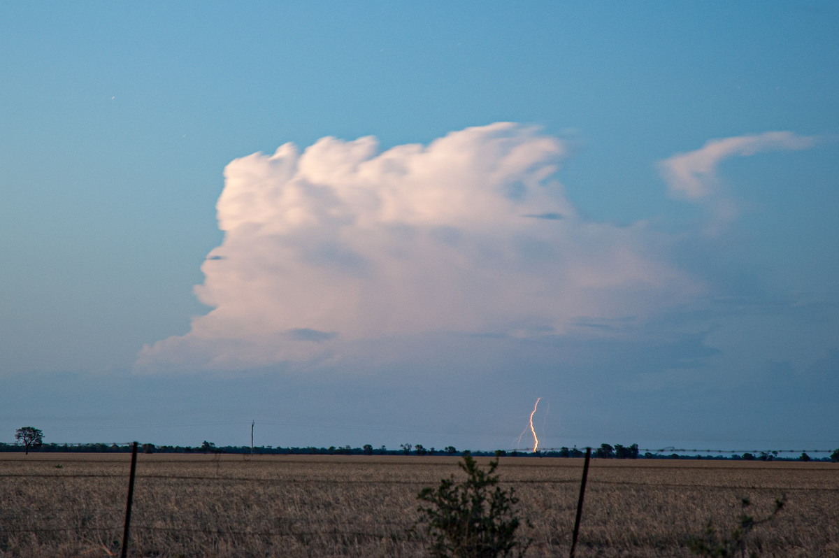 thunderstorm cumulonimbus_calvus : Coonamble, NSW   8 December 2007