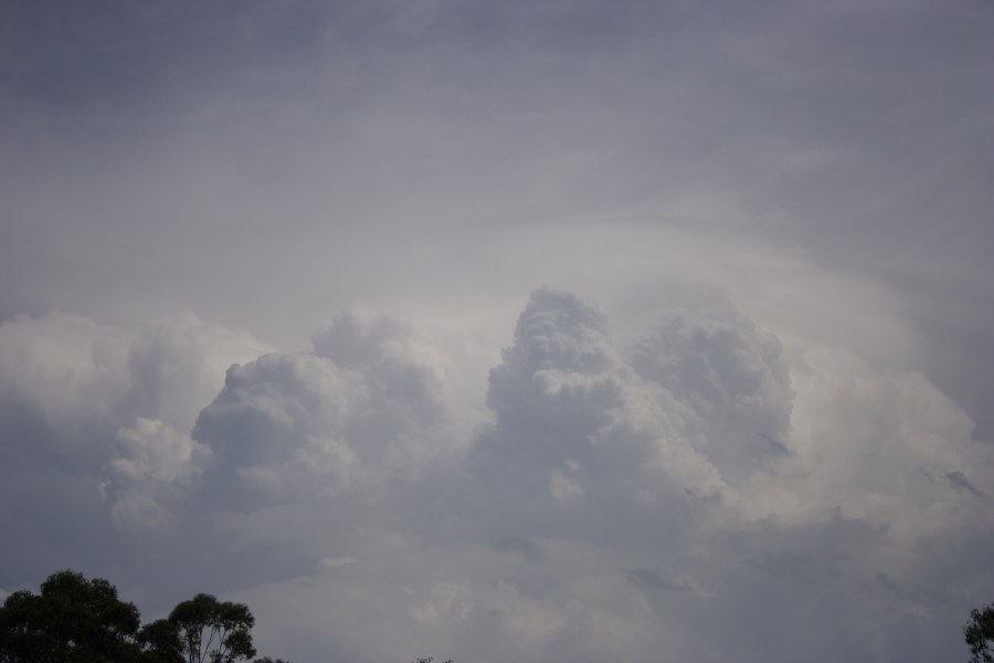 thunderstorm cumulonimbus_calvus : M4 motorway, NSW   9 December 2007