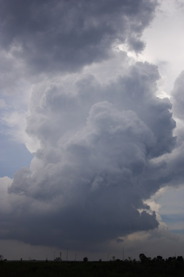 thunderstorm cumulonimbus_calvus : near Cross Roads, NSW   9 December 2007