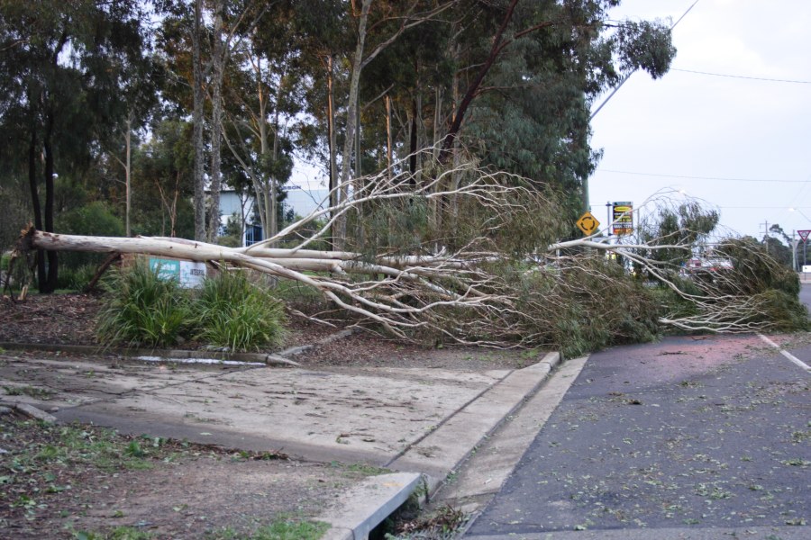 disasters storm_damage : Castle Hill, NSW   9 December 2007