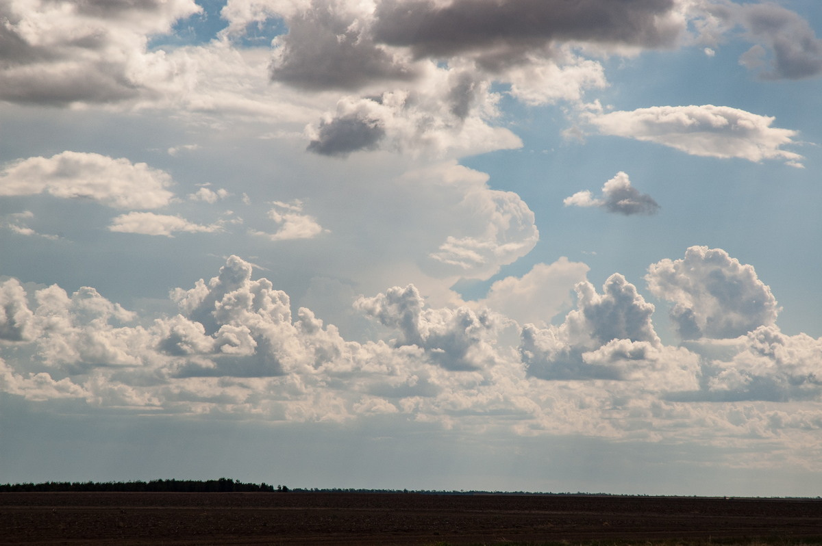 thunderstorm cumulonimbus_incus : W of Goondiwindi, QLD   9 December 2007