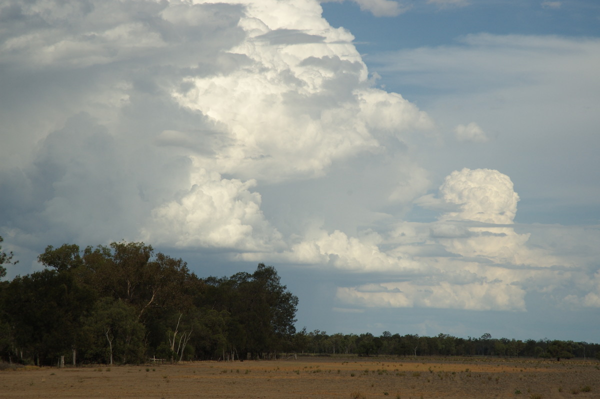 thunderstorm cumulonimbus_calvus : near Boomi, NSW   9 December 2007