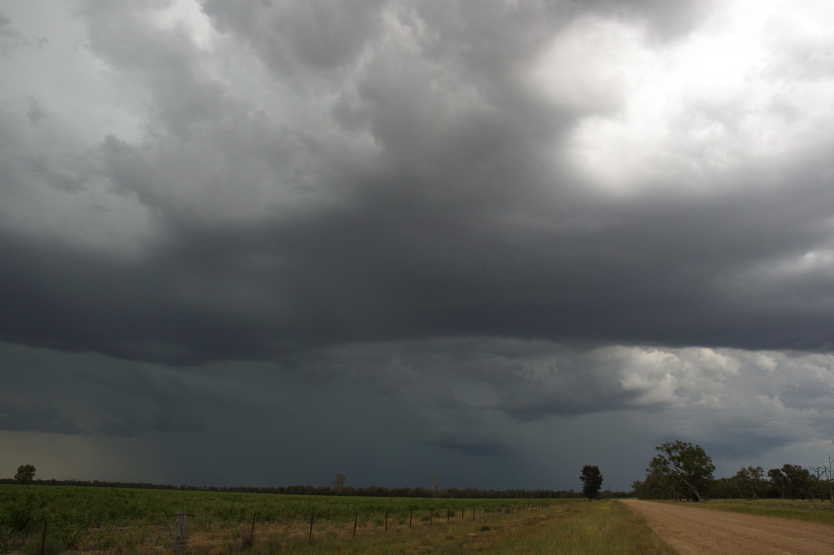 cumulonimbus thunderstorm_base : near Boomi, NSW   9 December 2007