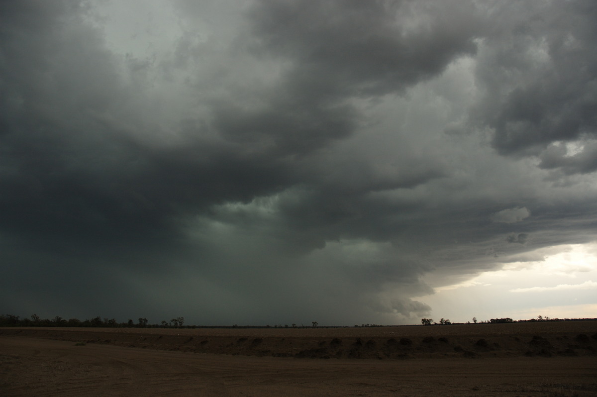 cumulonimbus thunderstorm_base : near Boomi, NSW   9 December 2007