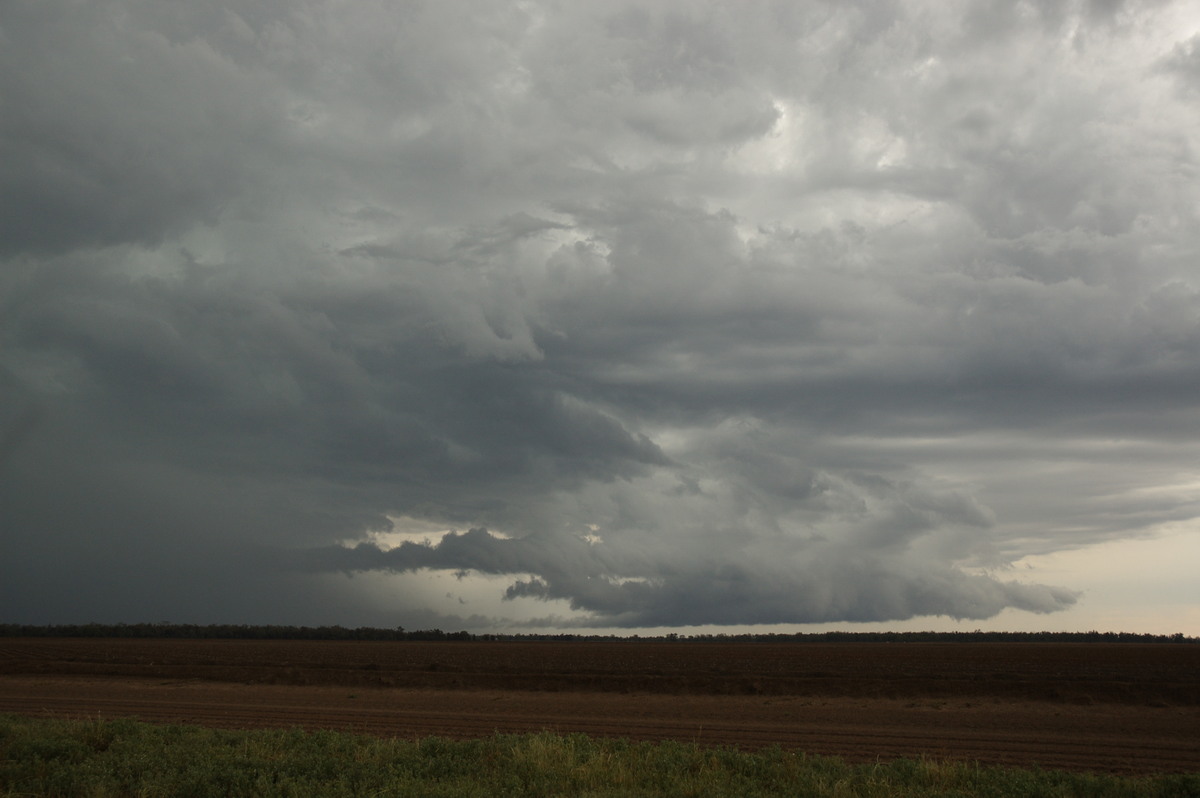 cumulonimbus thunderstorm_base : near Boomi, NSW   9 December 2007