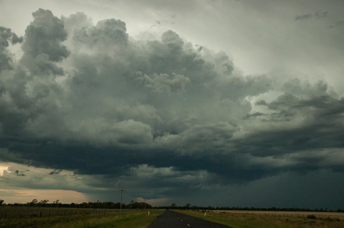 thunderstorm cumulonimbus_calvus : near Goondiwindi, QLD   9 December 2007