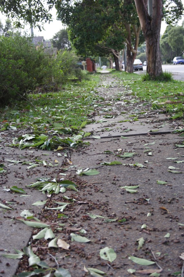 disasters storm_damage : Blacktown, NSW   10 December 2007