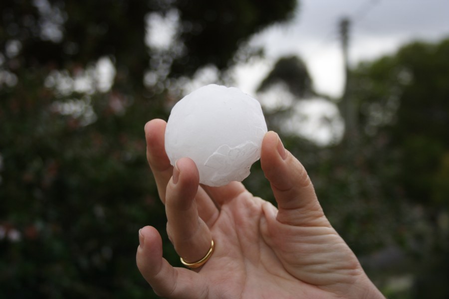 hailstones hail_stones : Blacktown, NSW   10 December 2007