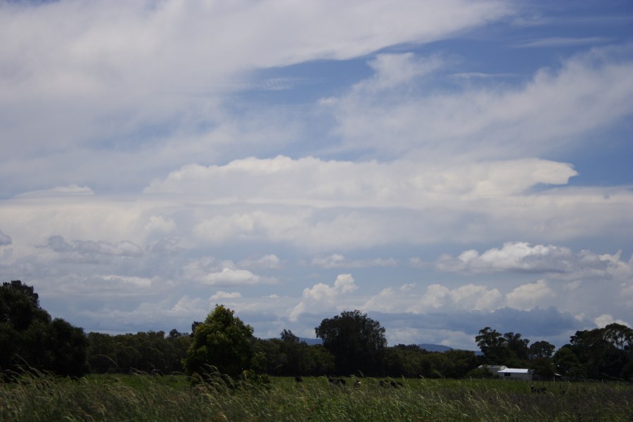 thunderstorm cumulonimbus_incus : near Taree, NSW   10 December 2007