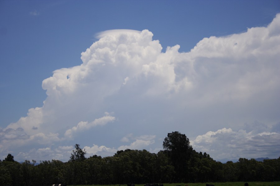 thunderstorm cumulonimbus_incus : near Taree, NSW   10 December 2007