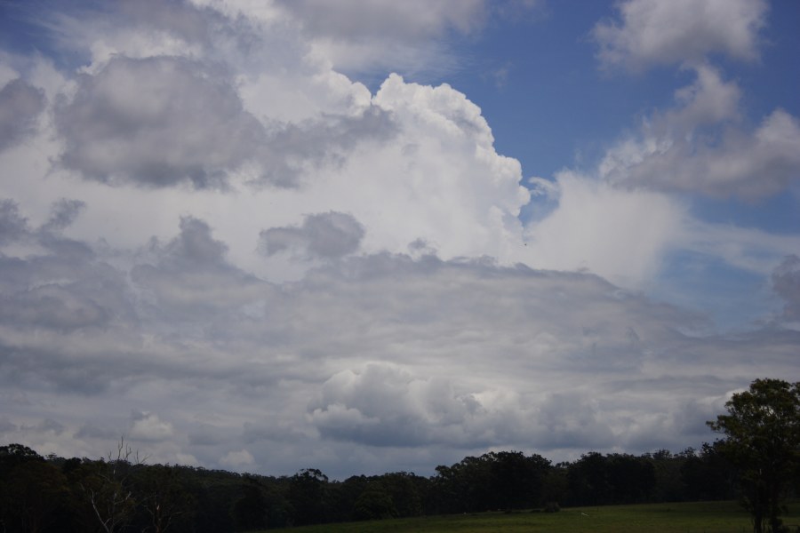 thunderstorm cumulonimbus_incus : Johns River, NSW   10 December 2007