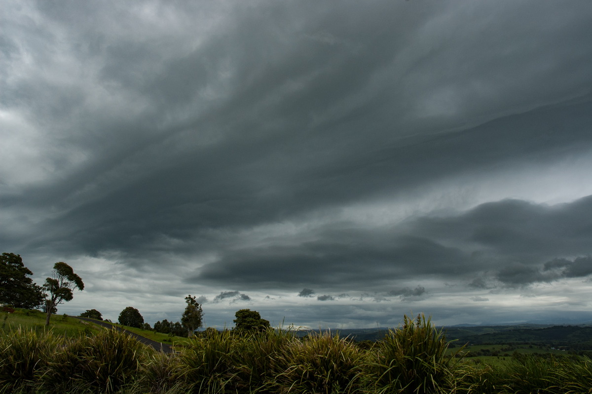 stratus stratus_cloud : McLeans Ridges, NSW   12 December 2007